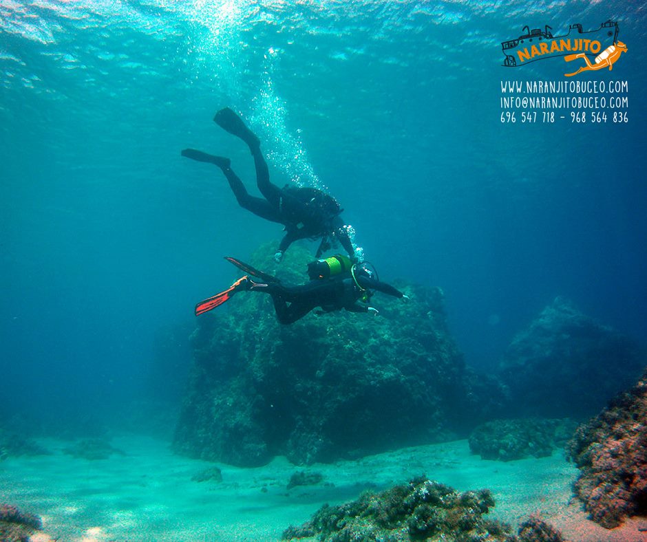 Centro de buceo Naranjito