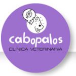 Clinica veterinaria