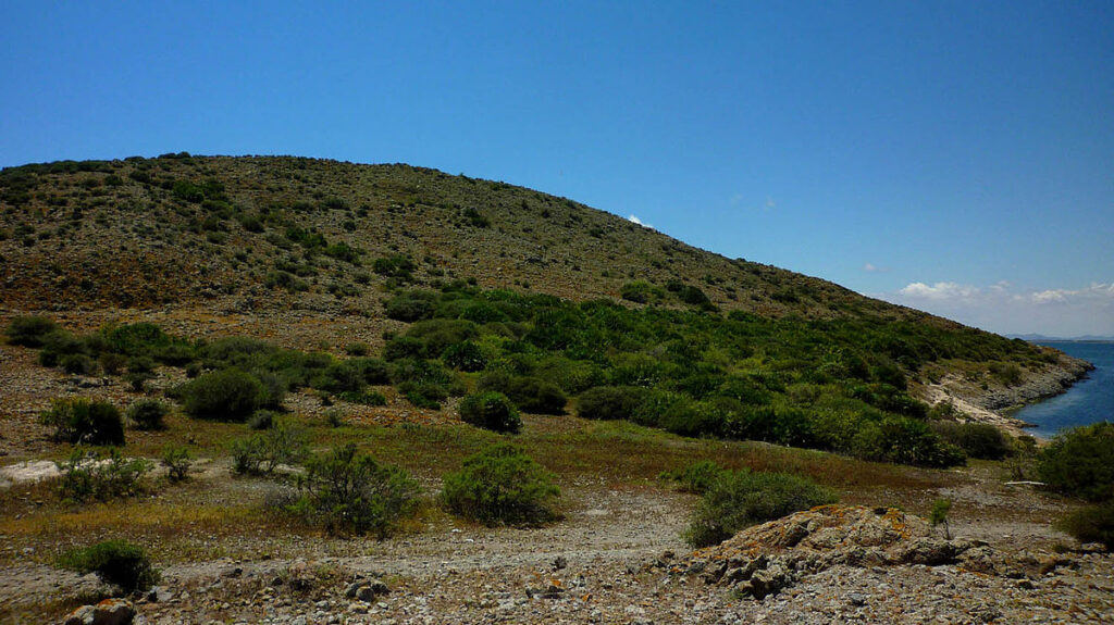 Isla del Ciervo