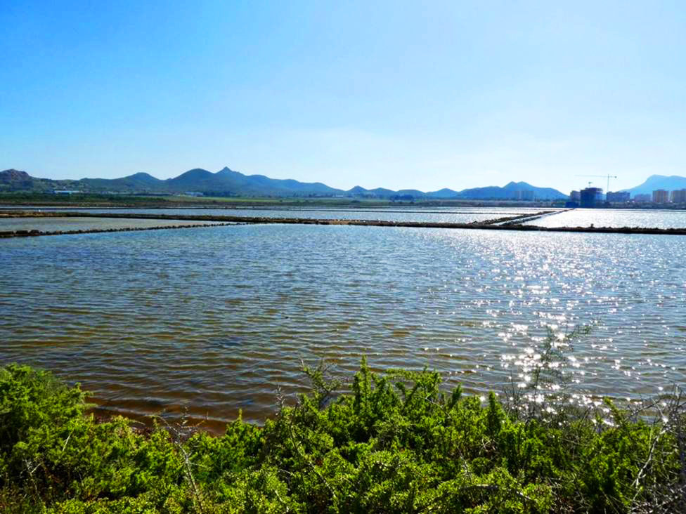 Las Salinas de Marchamalo