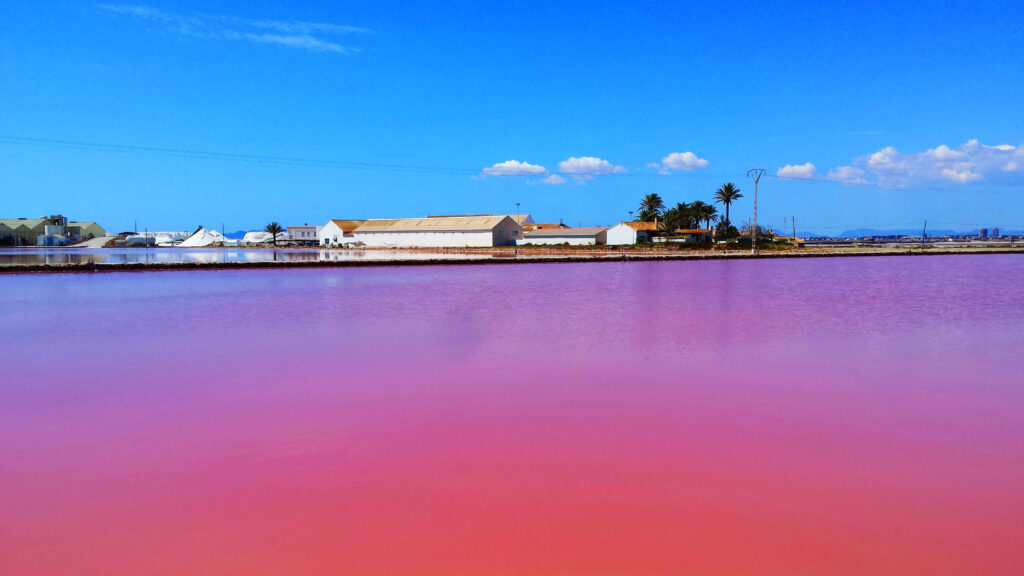 Las Salinas de Marchamalo