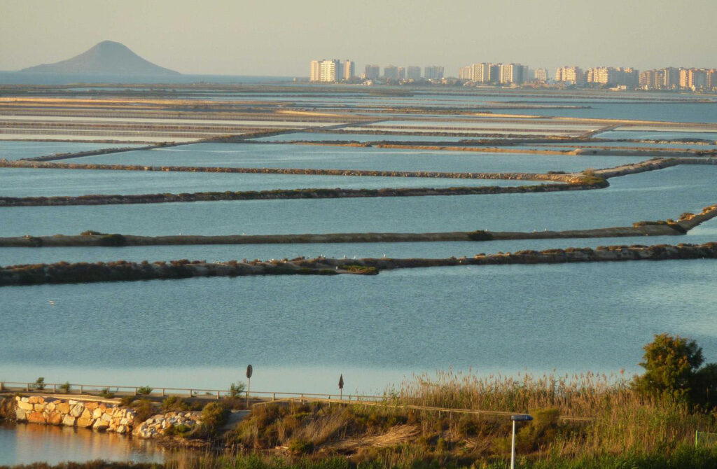 Las Salinas de Marchamalo