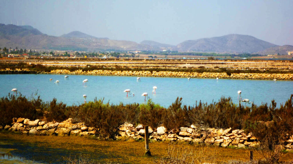 Las Salinas de Marchamalo