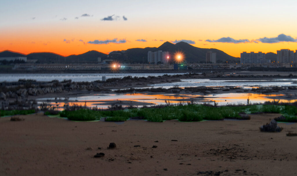 Las Salinas de Marchamalo