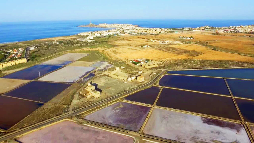 Las Salinas de Marchamalo