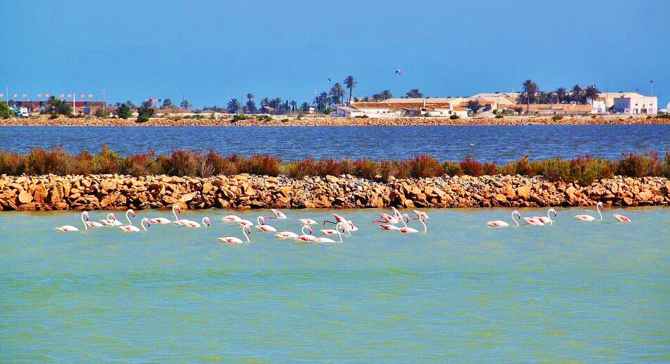 Las Salinas de Marchamalo