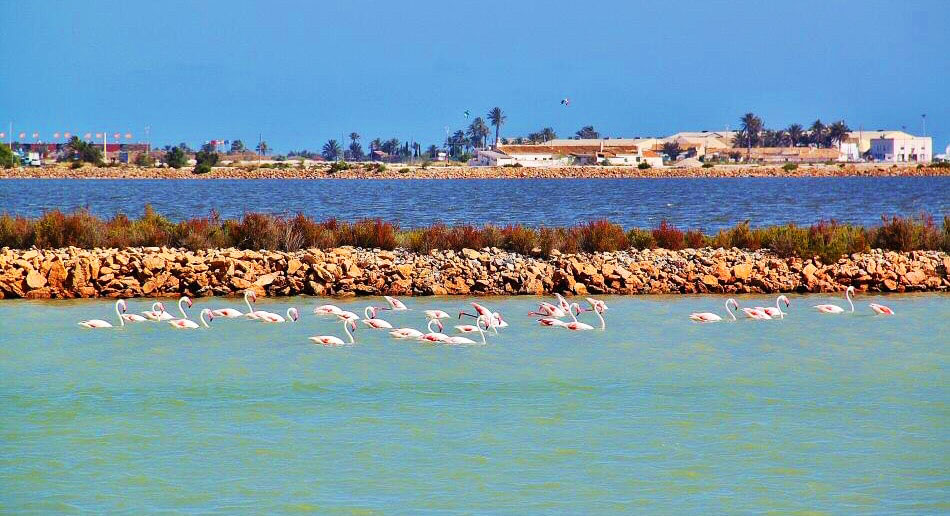 Las Salinas de Marchamalo