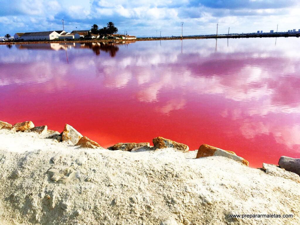 Las Salinas de Marchamalo