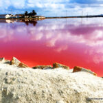 Las Salinas de Marchamalo