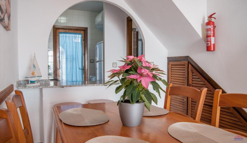 Apartahotel Aldeas de taray Club