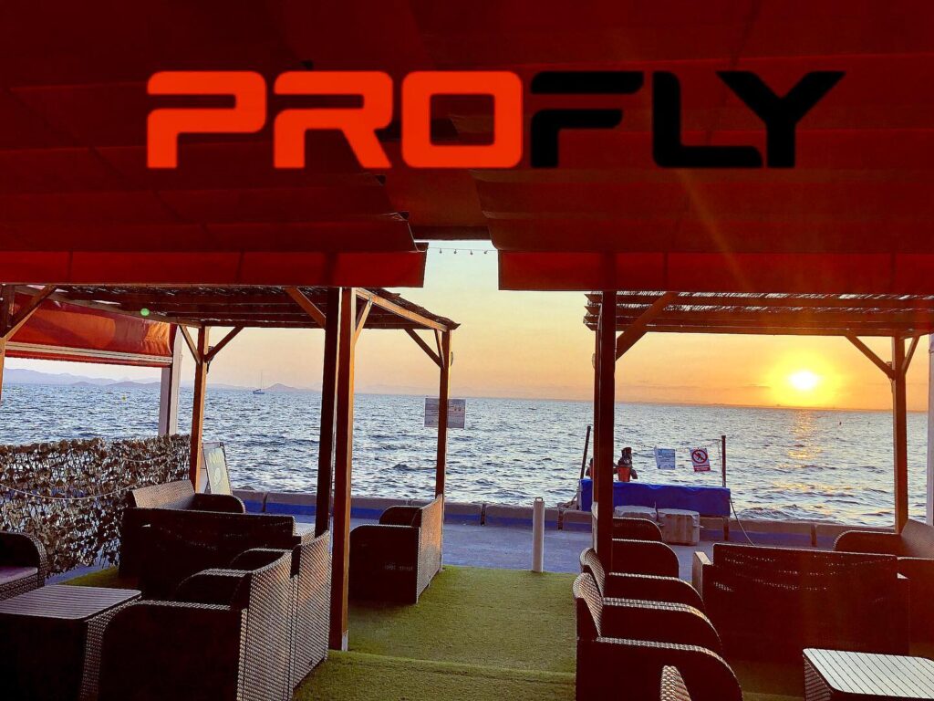 ProFly